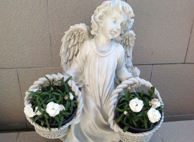 Angel